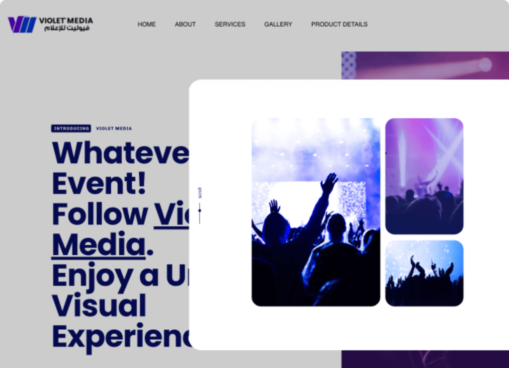 Website showcasing web design & development services