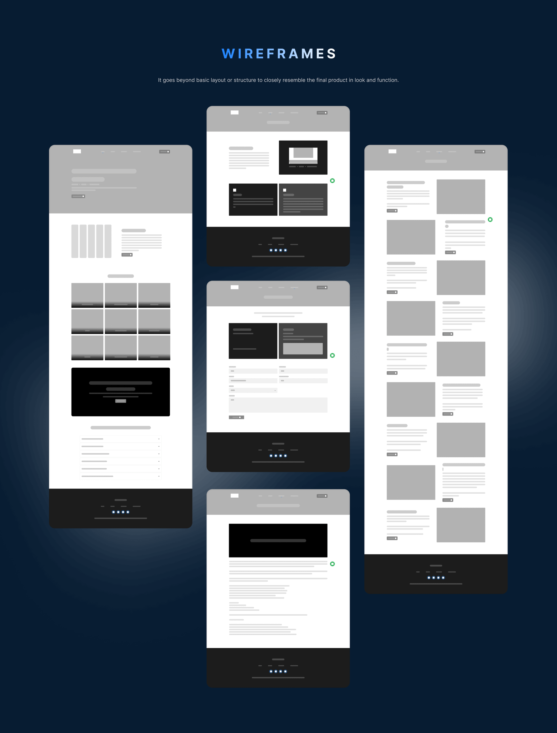 PRAVEENALLIANCE website design